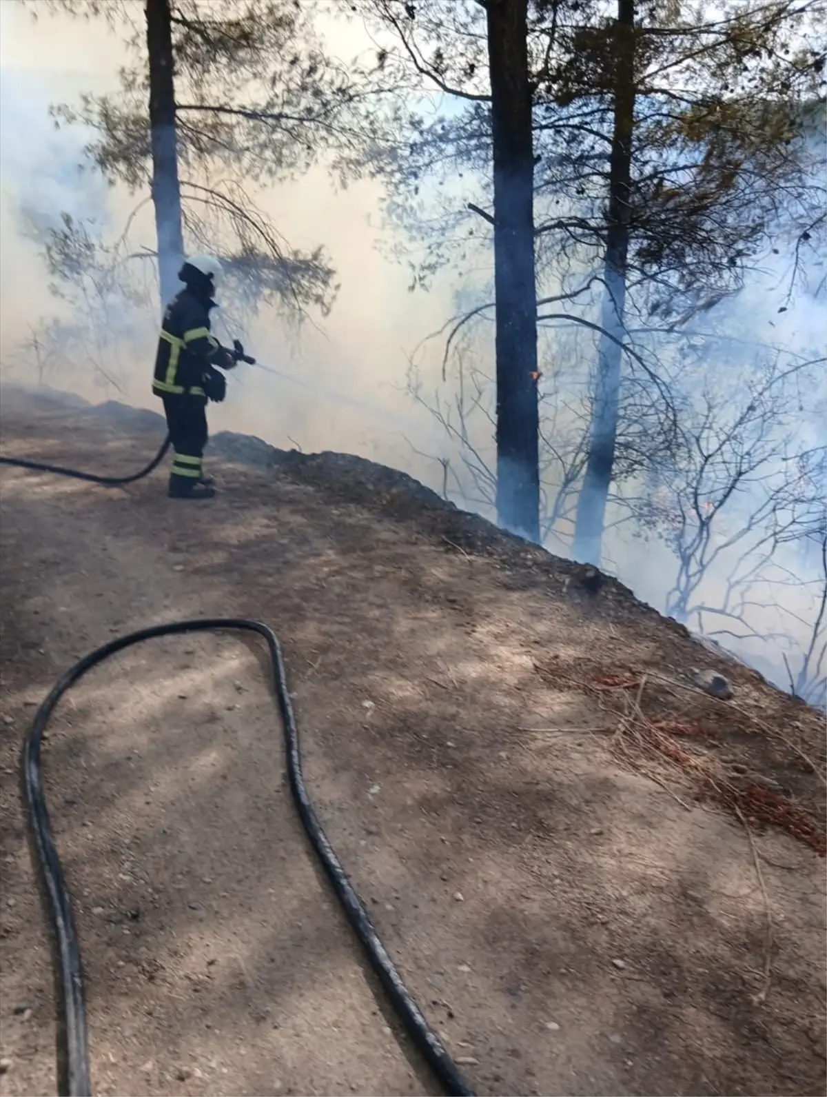 Erzin’de Orman Yangını Kontrol Altına Alındı