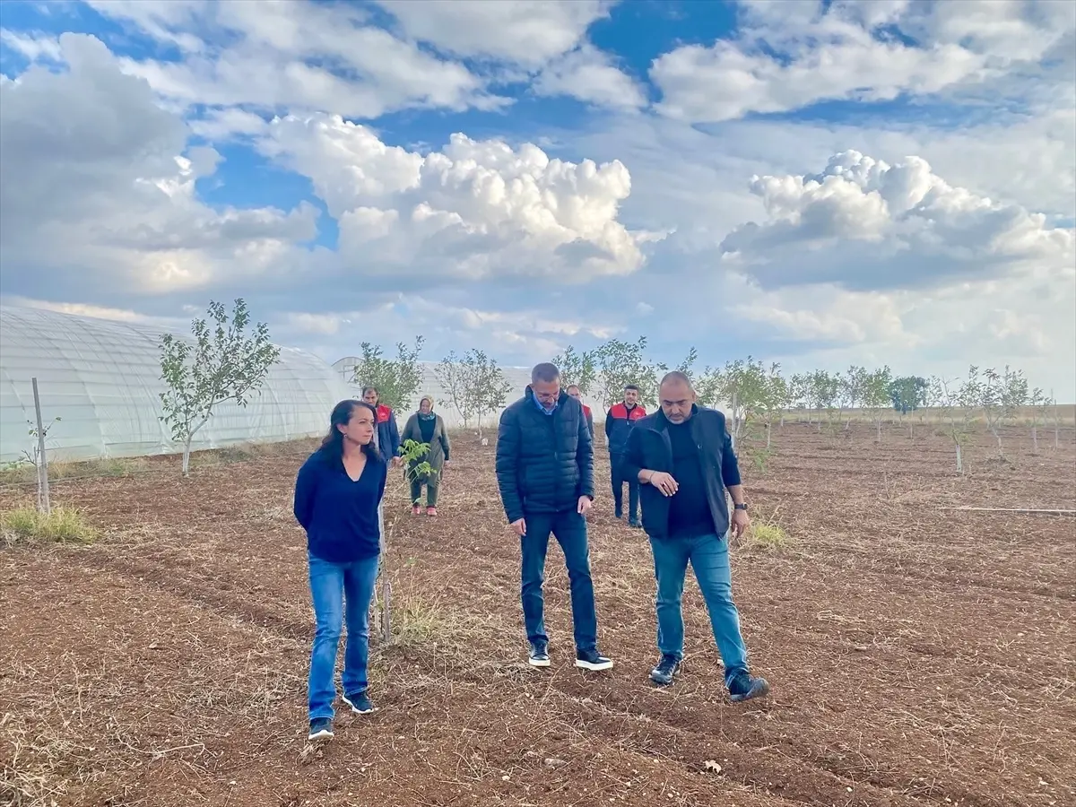 Pınarhisar Kaymakamı Çiftçileri Ziyaret Etti
