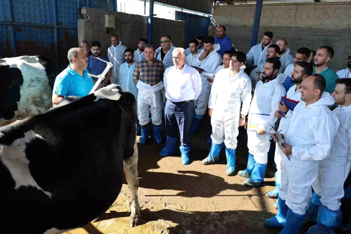 aksarayda sigir egitimi 3kcN7bOu.jpg