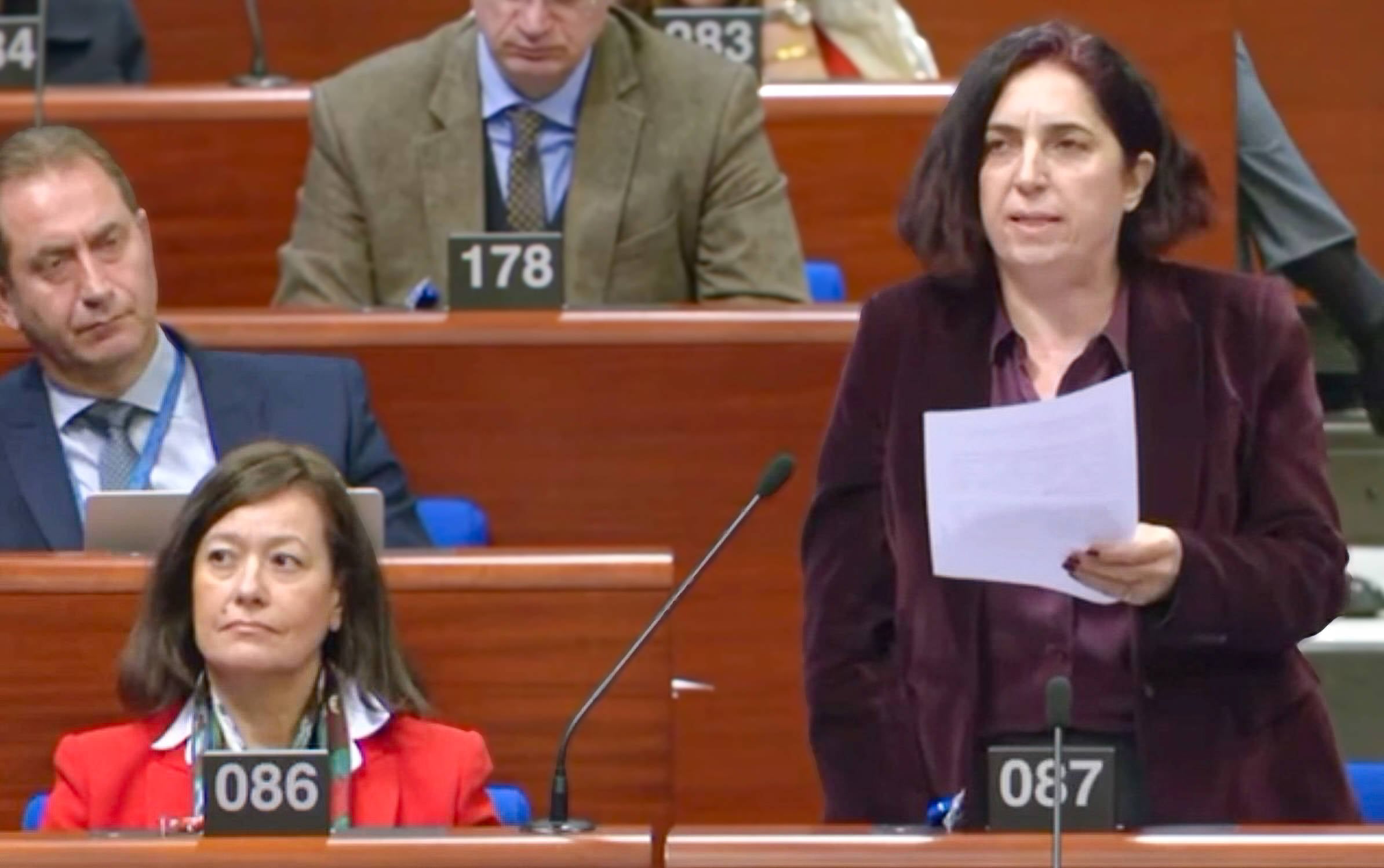 Sevilay Çelenk AKPM'ye seslendi: "IŞİD'i yenen Kobanê kuşatma altında, ahlaki sorumluluğumuzu üstlenecek miyiz?"